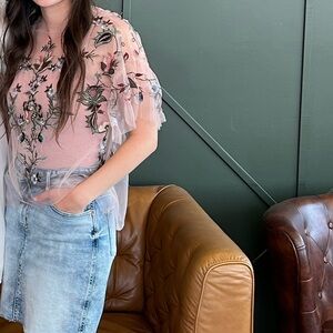 Zara Light Pink Sheer Floral Embroidered Blouse
